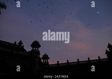 Dhaka, Bangladesh. 5ème Oct, 2019. Une vue de face Curzon Hall au cours de la coucher du soleil, un bâtiment de l'époque de l'Empire britannique et maintenant accueil de la Faculté des sciences de l'Université de Dacca. Credit : MD Mehedi Hasan/ZUMA/Alamy Fil Live News Banque D'Images