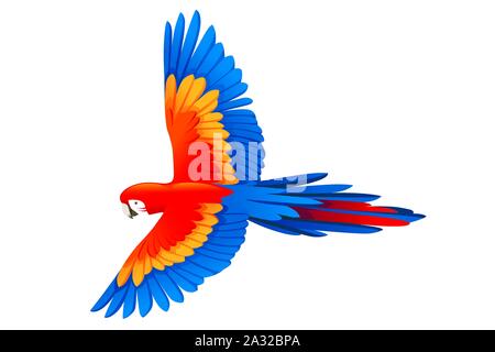 Parrot adultes de rouge et vert macaw Ara Ara chloropterus) (vol d'oiseau de dessin animé télévision design vector illustration isolé sur fond blanc. Illustration de Vecteur