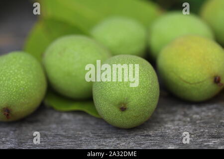 Les noix d'un arbre arraché dans une carapace verte. La récolte des noix. Focus sélectif. Macro. Banque D'Images