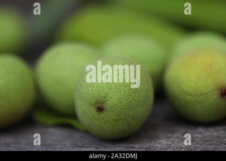 Les noix d'un arbre arraché dans une carapace verte. La récolte des noix. Focus sélectif. Macro. Banque D'Images