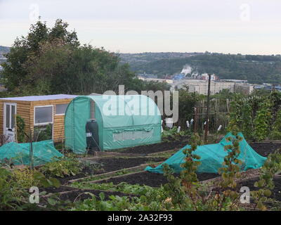 UK urbain sur les allotissements matin d'automne avec l'arrière-plan la ville de bloc d'appartements et de fumer les cheminées (Banque Walkley Allocations, Sheffield) Banque D'Images