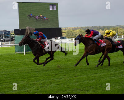 Week-end de course d'automne et fête de la bière d'Ascot, Ascot Racecourse, Ascot, Berkshire, Royaume-Uni. 4 octobre, 2019. Ryan Moore jockey remporte le Novice Veolia enjeux sur l'Caravane de l'Espoir (IRE) administré par le Dr Ali Ridha, Formateur Hugo Palmer, Newmarket et source de Oak Hill Stud. Credit : Maureen McLean/Alamy Banque D'Images