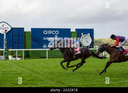 Week-end de course d'automne et fête de la bière d'Ascot, Ascot Racecourse, Ascot, Berkshire, Royaume-Uni. 4 octobre, 2019. Ryan Moore jockey remporte le Novice Veolia enjeux sur l'Caravane de l'Espoir (IRE) administré par le Dr Ali Ridha, Formateur Hugo Palmer, Newmarket et source de Oak Hill Stud. Credit : Maureen McLean/Alamy Banque D'Images