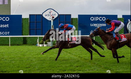 Week-end de course d'automne et fête de la bière d'Ascot, Ascot Racecourse, Ascot, Berkshire, Royaume-Uni. 4 octobre, 2019. Ryan Moore jockey remporte le Novice Veolia enjeux sur l'Caravane de l'Espoir (IRE) administré par le Dr Ali Ridha, Formateur Hugo Palmer, Newmarket et source de Oak Hill Stud. Credit : Maureen McLean/Alamy Banque D'Images