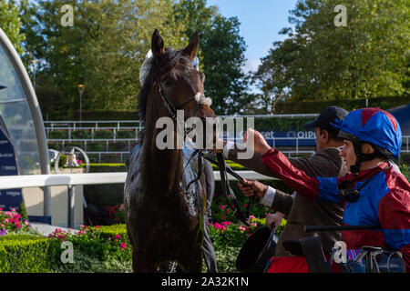 Week-end de course d'automne et fête de la bière d'Ascot, Ascot Racecourse, Ascot, Berkshire, Royaume-Uni. 4 octobre, 2019. Ryan Moore jockey remporte le Novice Veolia enjeux sur l'Caravane de l'Espoir (IRE) administré par le Dr Ali Ridha, Formateur Hugo Palmer, Newmarket et source de Oak Hill Stud. Credit : Maureen McLean/Alamy Banque D'Images