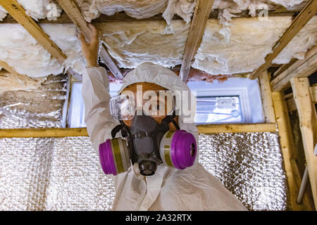 Une vue en gros plan d'un inspecteur en bâtiment au travail, vérification de l'isolation entre les solives de plancher en bois et des murs creux, avec l'exemplaire de l'espace. Banque D'Images