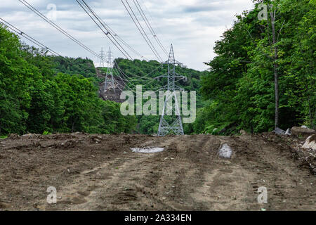 Un grand angle de vue des tours de transmission électrique qui traverse une forêt dense, les arbres abattus et une piste boueuse faire place à l'infrastructure d'alimentation. Banque D'Images