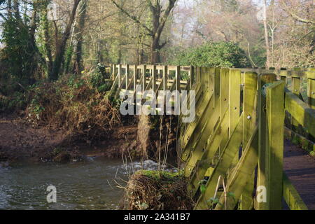 Petit pont en bois au-dessus d'un moulin abandonné moins d'un jour, la Comtesse Weir Winters, Mill River Exe, Exeter, Devon, UK. Banque D'Images