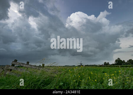 Au cours de la recueillir Stormclouds wide open campagne néerlandaise. L'affichage classique d'une clôture, de fleurs et d'un moulin au loin. Banque D'Images