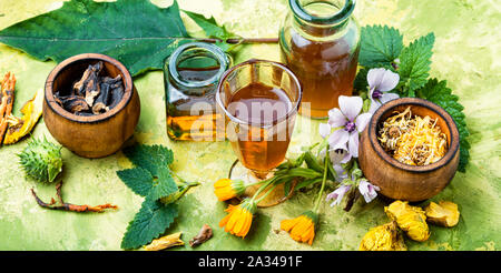 Flacons de teinture et herbes sains.assortiment de plantes médicinales naturelles Banque D'Images