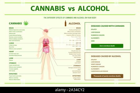 Le Cannabis vs alcool illustration infographique horizontale sur le cannabis comme produits de la médecine alternative, de la santé et des sciences médicales. Illustration de Vecteur