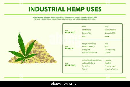 Le chanvre industriel utilise l'illustration infographique horizontale sur le cannabis comme produits de la médecine alternative, de la santé et des sciences médicales. Illustration de Vecteur