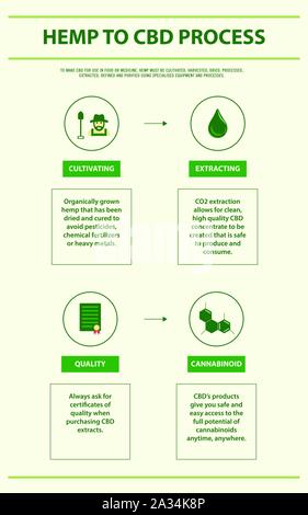 Le Chanvre pour processus de la CDB sur le cannabis illustration infographique vertical comme produits de la médecine alternative, de la santé et des sciences médicales. Illustration de Vecteur