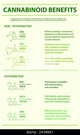 Avantages de cannabinoïdes illustration infographique verticale sur le cannabis comme produits de la médecine alternative, de la santé et des sciences médicales. Illustration de Vecteur