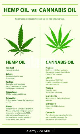 L'huile de chanvre, l'huile de cannabis vs illustration infographique verticale sur le cannabis comme produits de la médecine alternative, de la santé et des sciences médicales. Illustration de Vecteur