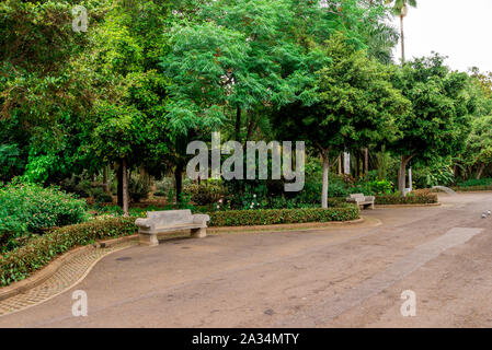 Bancs de pierre le long de la ruelle à Garcia Sanabira parc public, Santa Cruz de Tenerife, Canaries, Espagne Banque D'Images