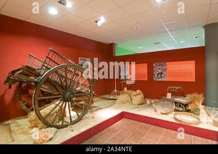 Centre thématique de la campagne andalouse, Alameda, Malaga-province, région d'Andalousie, Espagne, Europe. Banque D'Images