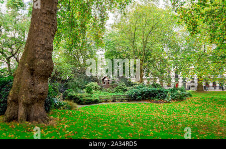 Fitzroy square garden de saison d'automne, le centre de Londres, Royaume-Uni Banque D'Images