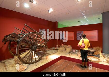 Centre thématique de la campagne andalouse, Alameda, Malaga-province, région d'Andalousie, Espagne, Europe. Banque D'Images