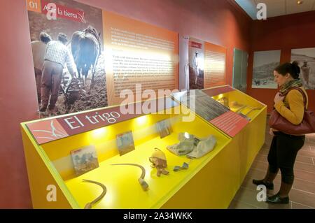 Centre thématique de la campagne andalouse, Alameda, Malaga-province, région d'Andalousie, Espagne, Europe. Banque D'Images
