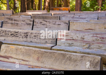 Des bancs fabriqués à partir de pins. Big Basin Redwoods State Park, dans le comté de Santa Cruz, Californie, USA. Banque D'Images