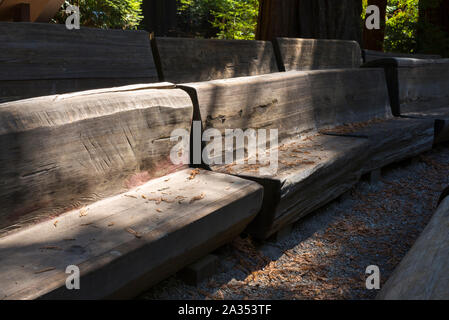 Des bancs fabriqués à partir de pins. Big Basin Redwoods State Park, dans le comté de Santa Cruz, Californie, USA. Banque D'Images