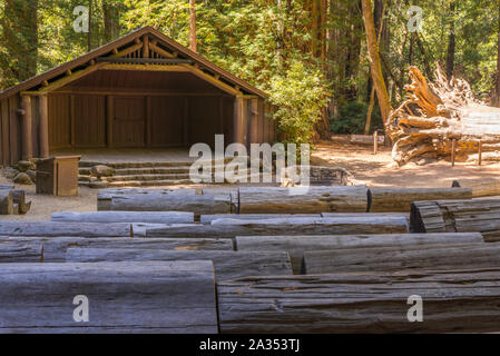 Des bancs fabriqués à partir de pins. Big Basin Redwoods State Park, dans le comté de Santa Cruz, Californie, USA. Banque D'Images