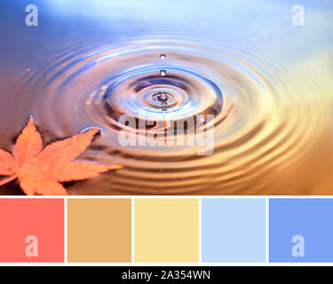 La palette des couleurs de l'automne à partir de l'image de feuilles sèches marple sur surface de l'eau, des bagues de gouttes d'eau. Arrière-plan de l'automne en orange, jaune et obj Banque D'Images