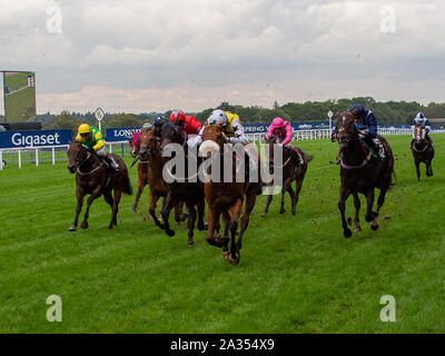 Ascot, Berkshire, Royaume-Uni. 5ème Oct, 2019. Ascot, Berkshire, Royaume-Uni. 5ème Oct, 2019. Jockey Connor Beasley remporte le hi-fi UK Show Live Rous Stakes (classe 1) sur l'or du Dakota. Doug Graham propriétaires & Ian Davison, Formateur Michael Dods. Credit : Maureen McLean/Alamy Live News Crédit : Maureen McLean/Alamy Live News Banque D'Images