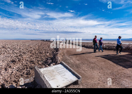 La laguna de Chaxa Lac Chaxa, Salar de Atacama, Désert d'Atacama, San Pedro de Atacama, Región de Antofagasta, Chili, Amérique Latine Banque D'Images