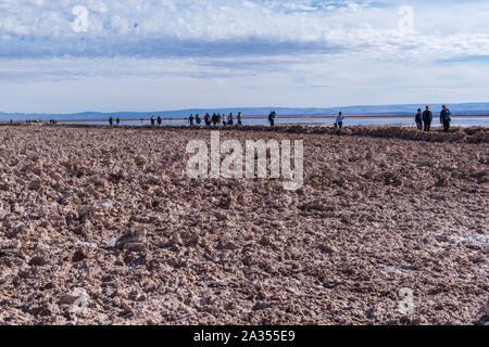 La laguna de Chaxa Lac Chaxa, Salar de Atacama, Désert d'Atacama, San Pedro de Atacama, Región de Antofagasta, Chili, Amérique Latine Banque D'Images