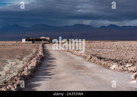 La laguna de Chaxa Lac Chaxa, Salar de Atacama, Désert d'Atacama, San Pedro de Atacama, Región de Antofagasta, Chili, Amérique Latine Banque D'Images