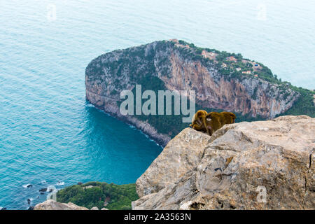 Vue panoramique de Yemma Gouraya parc national dans Bejaia, Algérie Banque D'Images