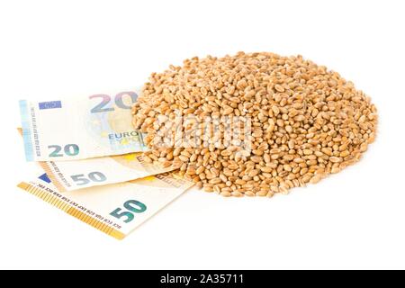 Tas de grains de blé sur les billets en euros sur fond blanc - coût du blé ou prix concept, selective focus Banque D'Images