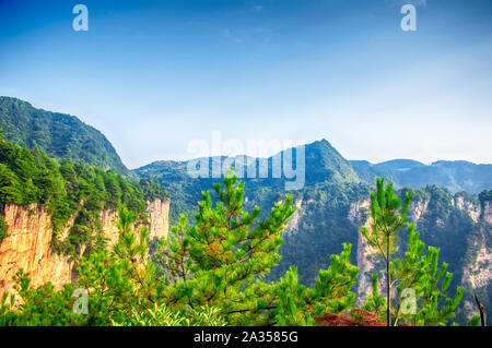 Un paysage de montagne dans le parc forestier de Zhangjiajie dans la province du Hunan en Chine le Morning Sunrise dans le tianzi shan scenic area. Banque D'Images