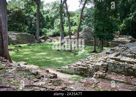 Les ruines mayas ont été remis par la jungle à ruines de Copan, Copan, Honduras Banque D'Images