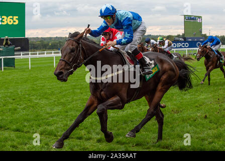 Ascot, Berkshire, Royaume-Uni. 5ème Oct, 2019.Ascot, Berkshire, Royaume-Uni. 5ème Oct, 2019. Ben Curtis Jockey gagne le pari365 Challenge Cup (classe 2) Handicap Patrimoine sur l'Kynren (IRE). Credit : Maureen McLean/Alamy Live News Banque D'Images