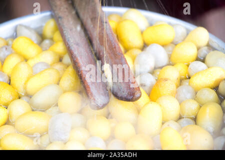 Fermé de méthode pour le choc de la soie vintage et jaune et blanc sur fond de l'eau chaude cocoon Banque D'Images