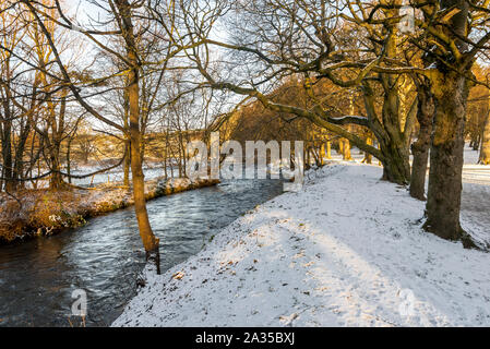 Un petit ruisseau qui coule le long de la rivière Don (allée d'arbres dans la région de Seaton Park, Aberdeen, Ecosse Banque D'Images