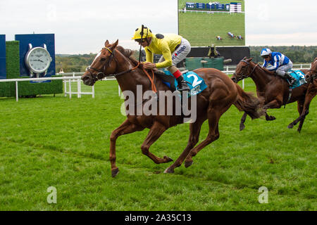 Ascot, Berkshire, Royaume-Uni. 5ème Oct, 2019.Ascot, Berkshire, Royaume-Uni. 5ème Oct, 2019. Jockey Andrea Atzeni remporte la course John Guest Bengough enjeux sur l'Cap Byron. Propriétaire Sheikh Mohammed Obaid Al Maktoum, Roger Formateur, Varian et Newmarket Source Darley. Credit : Maureen McLean/Alamy Live News Banque D'Images