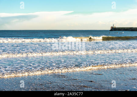 Un homme est le surf sur les vagues de la mer du Nord près de la plage d''Aberdeen, Écosse brise du sud Banque D'Images