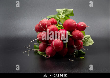 Petit jardin radis isolé sur fond noir Banque D'Images