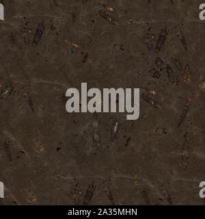 Dark brown en texture. Fond carré transparent, tuile prête. Banque D'Images