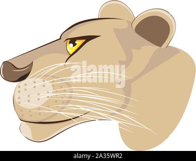Cartoon illustration d'une tête de lionne sur fond blanc. Illustration de Vecteur