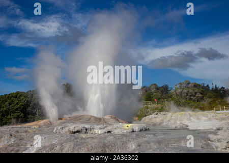 Geysir en Te Puia park à Rotorua, île du Nord Banque D'Images