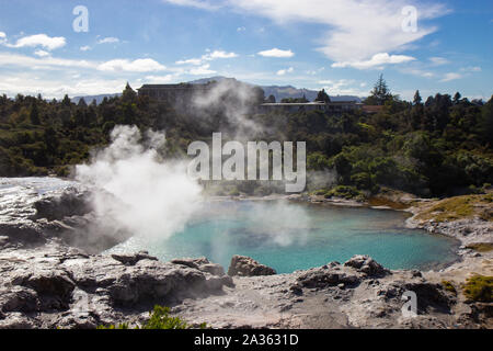 Geysir en Te Puia park à Rotorua, île du Nord Banque D'Images