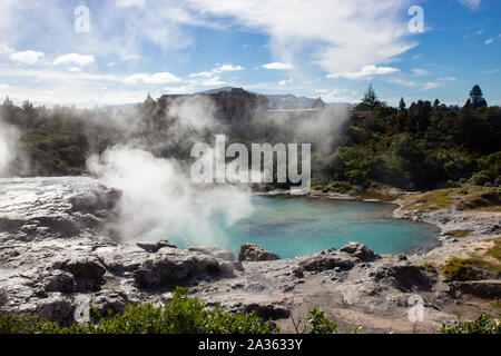 Geysir en Te Puia park à Rotorua, île du Nord Banque D'Images