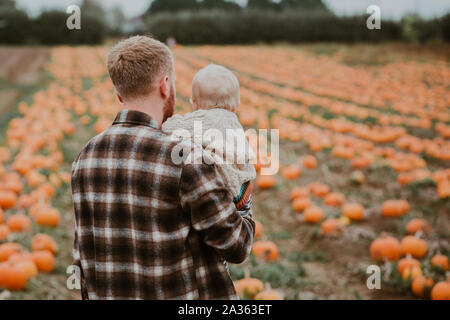 Fils Père tient au domaine agricole de citrouille Banque D'Images