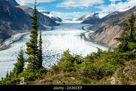 Dans la gamme de la frontière entre l'Alaska et de la Colombie-Britannique, Canada, se trouve l'énorme Glacier Salmon. Nous regarder vers le bas sur elle par derrière l'épinette vert Banque D'Images