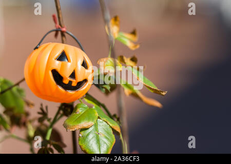 Jouet en plastique Halloween jack-o'-lantern smiling et pendaison sur la tige d'une plante dans un jardin de fleurs. Banque D'Images